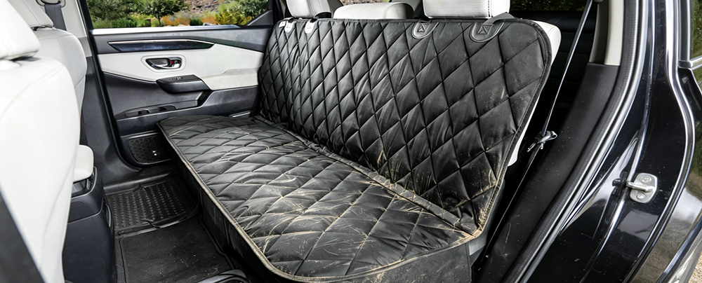 The Hidden Danger of Reusable Dog Seat Covers: When Protection Becomes a Health Hazard