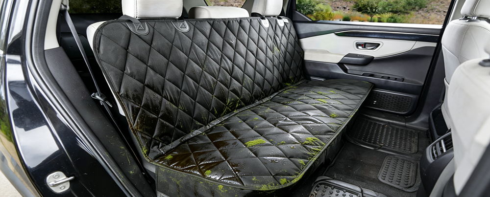 The Invisible Threat in Your Car: Why Damp Dog Seat Covers Are a Health Hazard