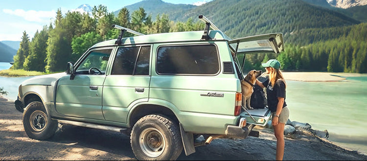 Car Travel Dog Kit